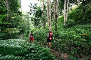 BIB: 
                            <button type="button" onclick="openModal(26409068)" class="btn btn-primary btn-sm float-right btn-popup" data-toggle="modal" data-target=".modal-high-quality">
                        <i class="fas fa-shopping-cart"></i> Add to Cart
                    </button>
                                            <button type="button" onclick="isThisMe(26409068, true)" class="btn btn-success btn-sm float-right btn-popup btn-isme hidden" data-toggle="tooltip" data-placement="bottom" title="นี่คือรูปของคุณใช่ไหม คลิกที่นี่เพื่อเอาเข้าอัลบั้ม">
                        <i class="fas fa-plus"></i> Add to album
                    </button>
                    <button type="button" onclick="isThisMe(26409068, false)" class="btn btn-warning btn-sm float-right btn-popup btn-isnotme hidden">
                        <i class="fas fa-ban"></i> Remove from album
                    </button>